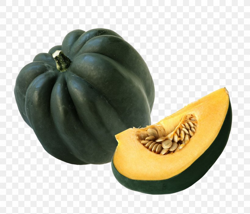 Acorn Squash Cucurbita Winter Squash Zucchini Summer Squash, PNG, 1600x1372px, Acorn Squash, Butternut Squash, Calabaza, Cucumber Gourd And Melon Family, Cucurbita Download Free