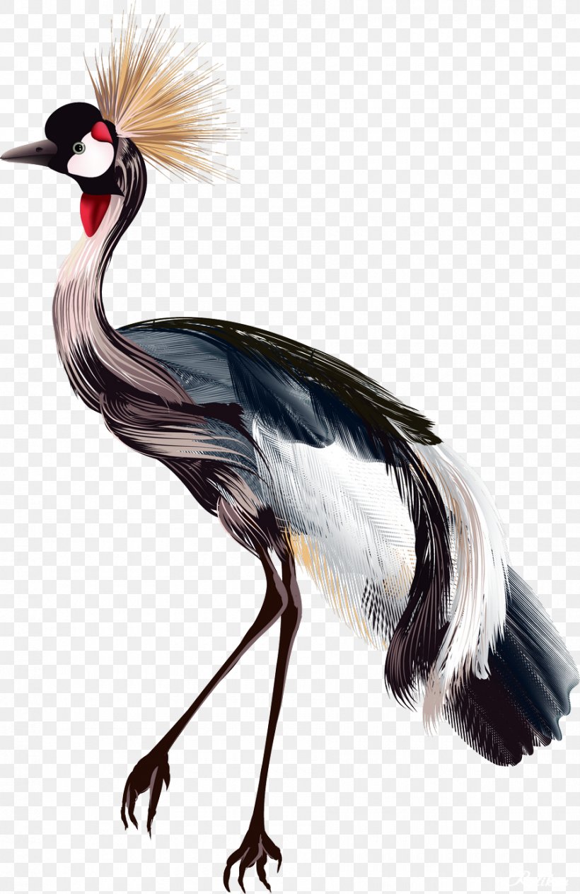 Crane Bird Drawing Watercolor Painting PNG 900x1388px Crane Beak Bird  Crane Like Bird Drawing Download Free
