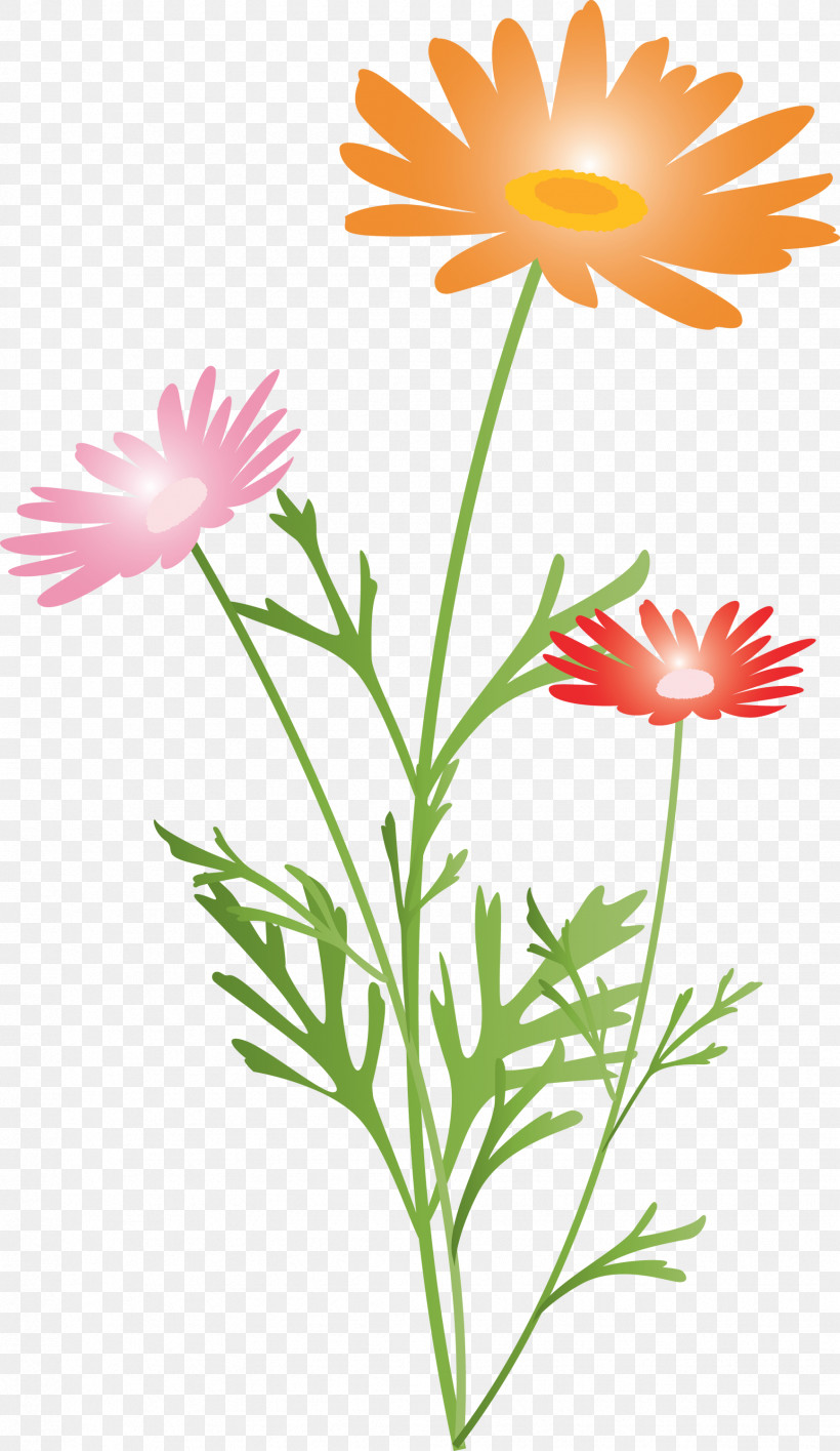 Marguerite Flower Spring Flower, PNG, 1737x2999px, Marguerite Flower, African Daisy, Chamomile, Daisy, Daisy Family Download Free