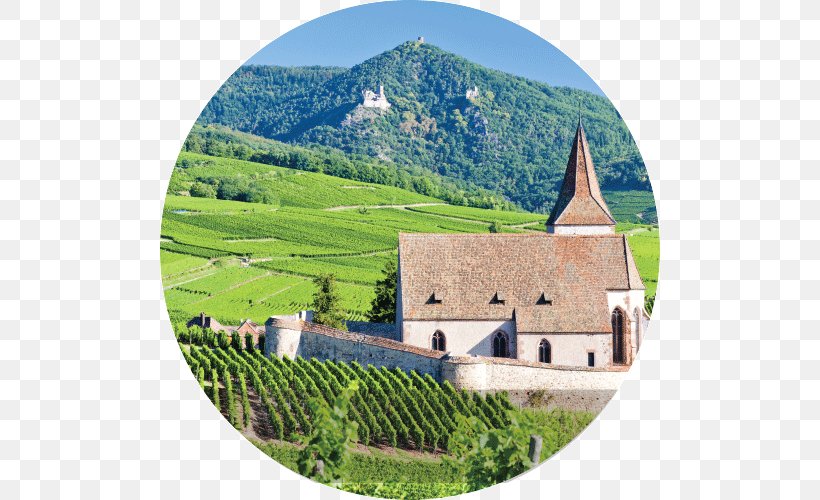 Vosges Alsace Wine Lorraine Colmar, PNG, 500x500px, Vosges, Agriculture, Alsace, Alsace Wine, Alsacelorraine Download Free