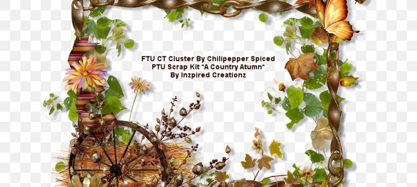 Picture Frames Font Branching Image, PNG, 700x368px, Picture Frames, Branch, Branching, Flora, Flower Download Free