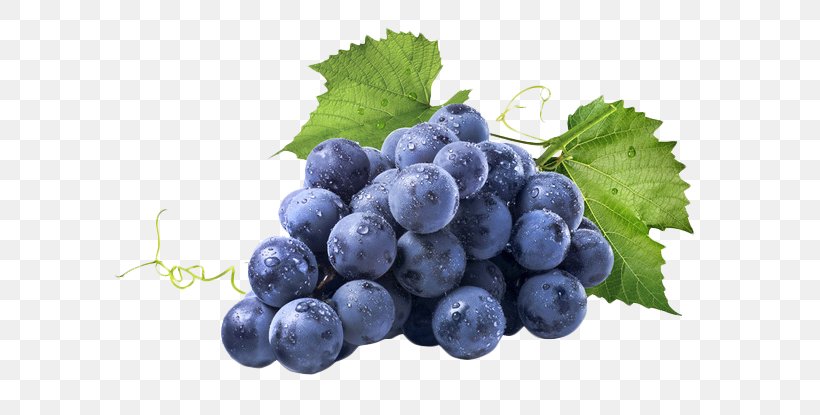 Red Wine Common Grape Vine Muscadine Grape, PNG, 658x415px, Red Wine, Berry, Bilberry, Blueberry, Blueberry Tea Download Free