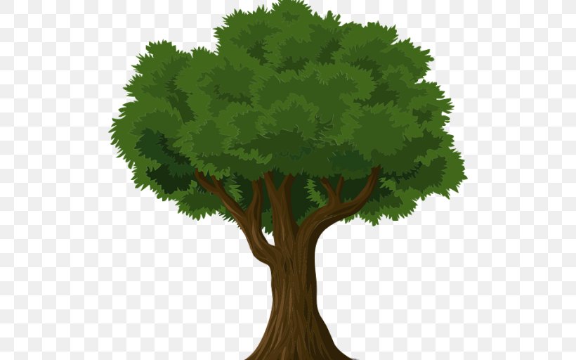Tree Learning Nusach Hari B'nai Zion Business Organization, PNG, 512x512px, Tree, Branch, Business, Experience, Forest Download Free