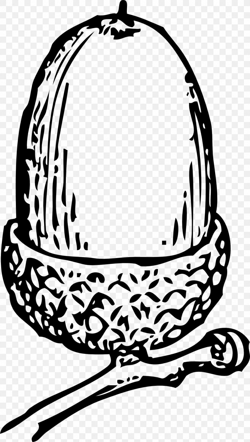 Acorn Clip Art, PNG, 1086x1920px, Acorn, Black And White, Drawing, Hat, Headgear Download Free