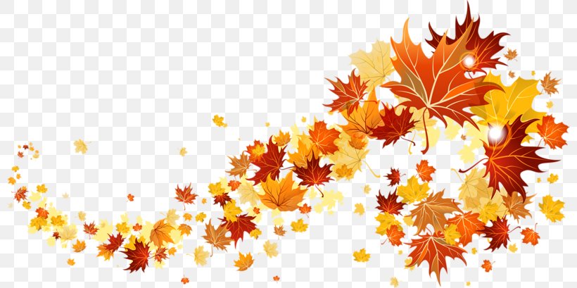 Autumn Clip Art, PNG, 800x409px, Autumn, Autumn Leaf Color, Branch, Display Resolution, Floral Design Download Free