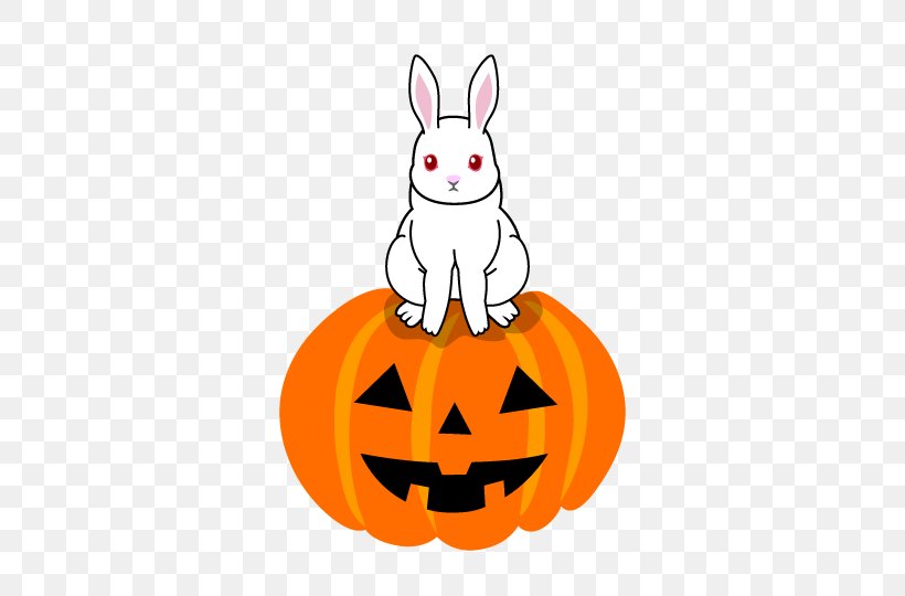Halloween White Rabbit Clip Art, PNG, 540x540px, Halloween, Calabaza, Carnivoran, Cat, Costume Download Free