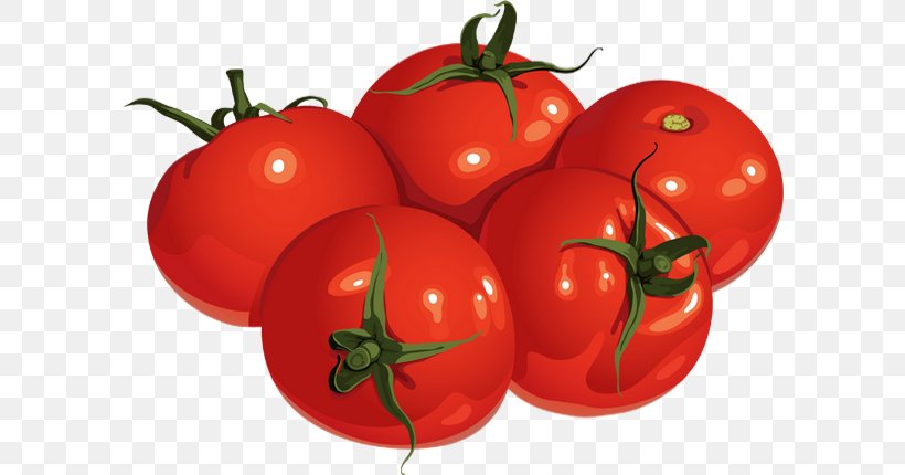 Plum Tomato Bush Tomato Food, PNG, 600x430px, Plum Tomato, Apple, Bell Pepper, Bell Peppers And Chili Peppers, Bush Tomato Download Free