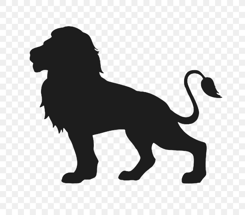 Lion, PNG, 720x720px, Lion, Big Cats, Black, Black And White, Carnivoran Download Free