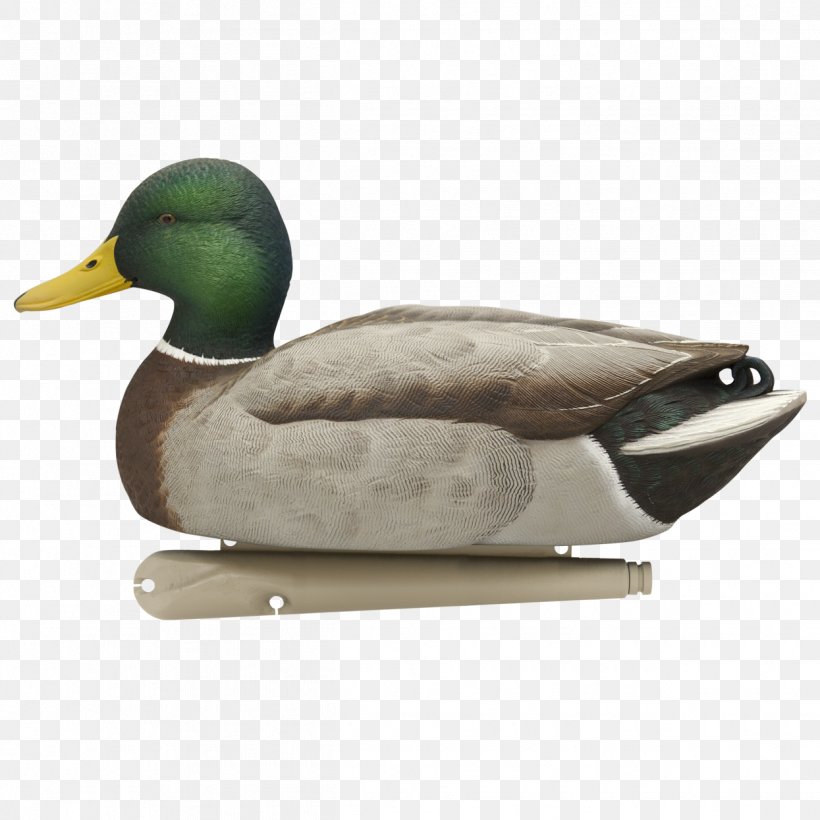Mallard Duck Decoy Goose, PNG, 1245x1245px, Mallard, American Black Duck, Anseriformes, Avian Influenza, Beak Download Free