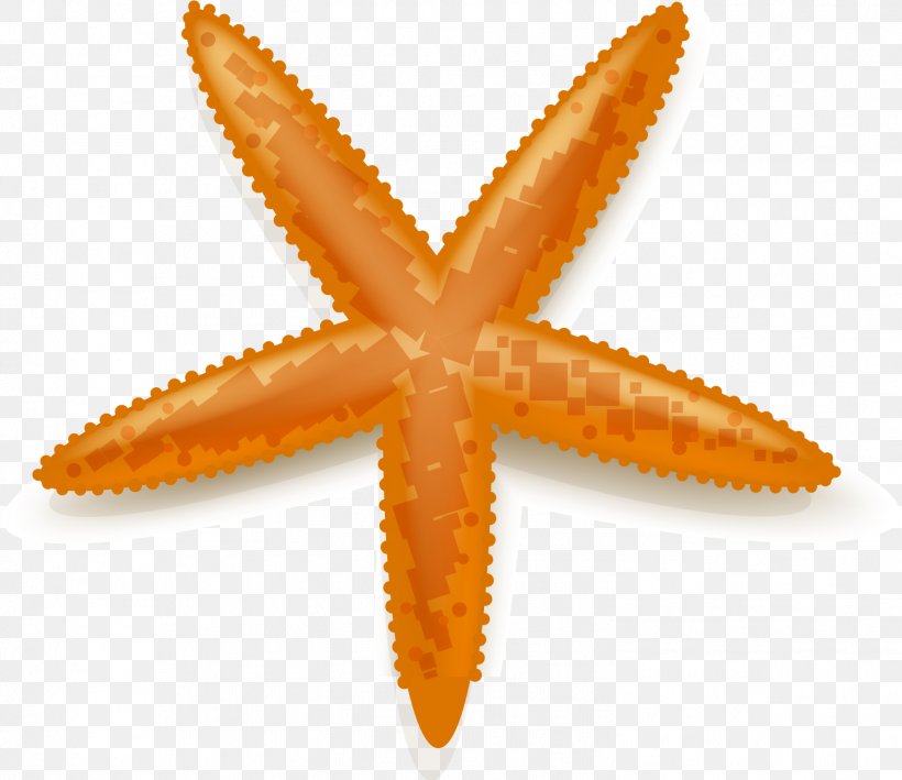 Starfish Euclidean Vector Yellow, PNG, 1502x1299px, Starfish, Deep Sea, Echinoderm, Invertebrate, Marine Invertebrates Download Free