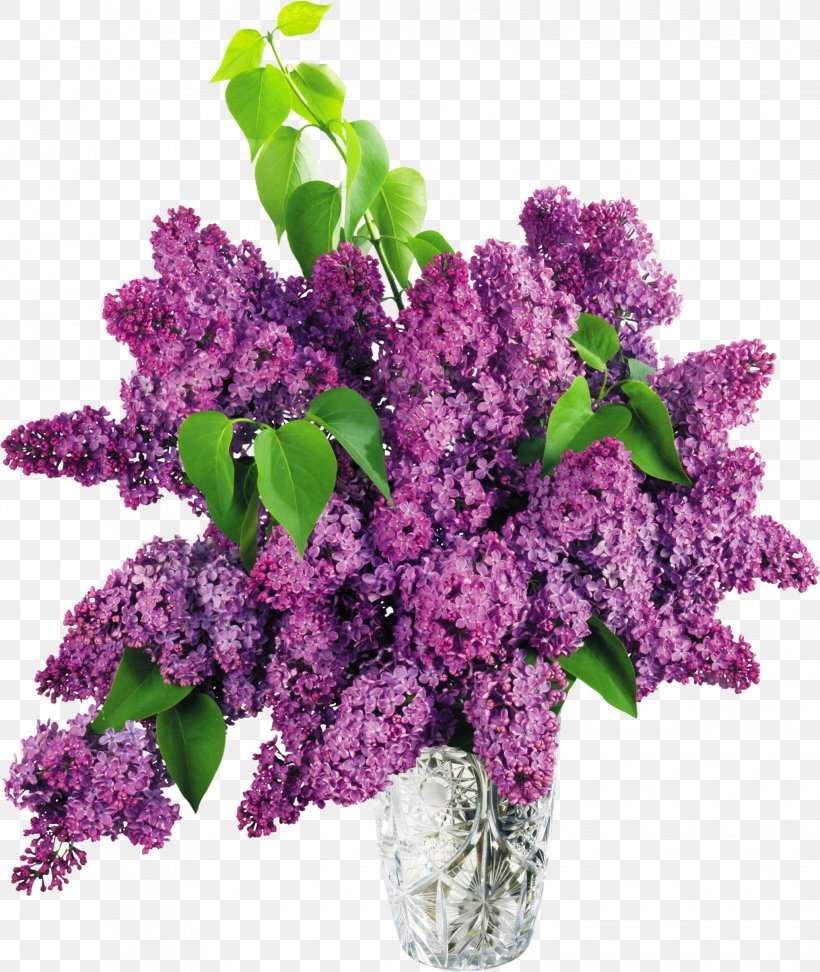 Common Lilac Vase Clip Art, PNG, 2038x2417px, Common Lilac, Color, Cut Flowers, Flower, Flower Bouquet Download Free