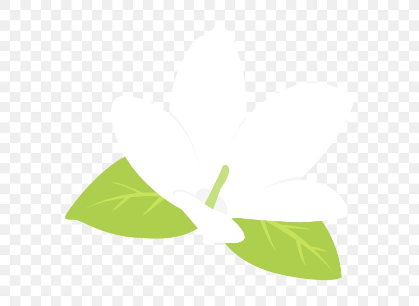 Leaf Clip Art Product Design Line, PNG, 600x600px, Leaf, Grass, Green, Plant Download Free