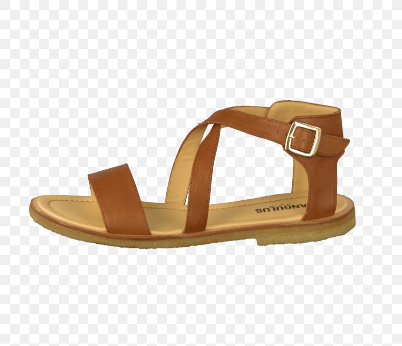 Slipper Sandal Shoe Leather Schuhmodell, PNG, 705x705px, Slipper, Beige, Brown, Buckle, Footwear Download Free
