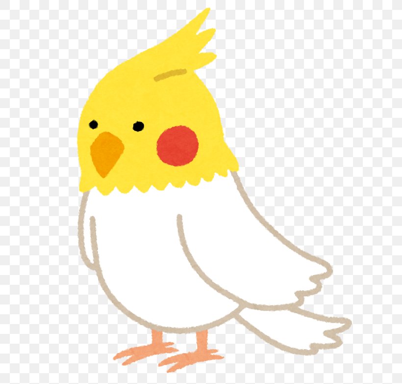 Cockatiel Pet Cat Hedgehog Person, PNG, 719x782px, Cockatiel, Art, Beak, Bird, Cat Download Free