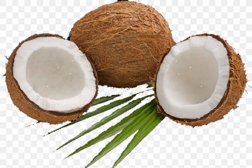 Coconut Water Coconut Milk Powder Coconut Candy, PNG, 919x616px, Coconut Water, Coconut, Coconut Candy, Coconut Milk, Coconut Milk Powder Download Free