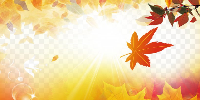 Maple Leaf Autumn Yellow, PNG, 7087x3543px, Maple Leaf, Autumn, Blue, Branch, Flower Download Free