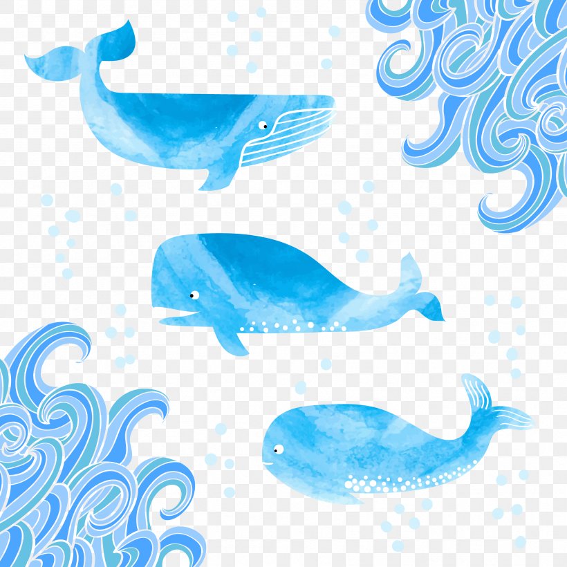 Marine Mammal Whale Clip Art, PNG, 3333x3333px, Marine Mammal, Aqua, Azure, Blue, Blue Whale Download Free
