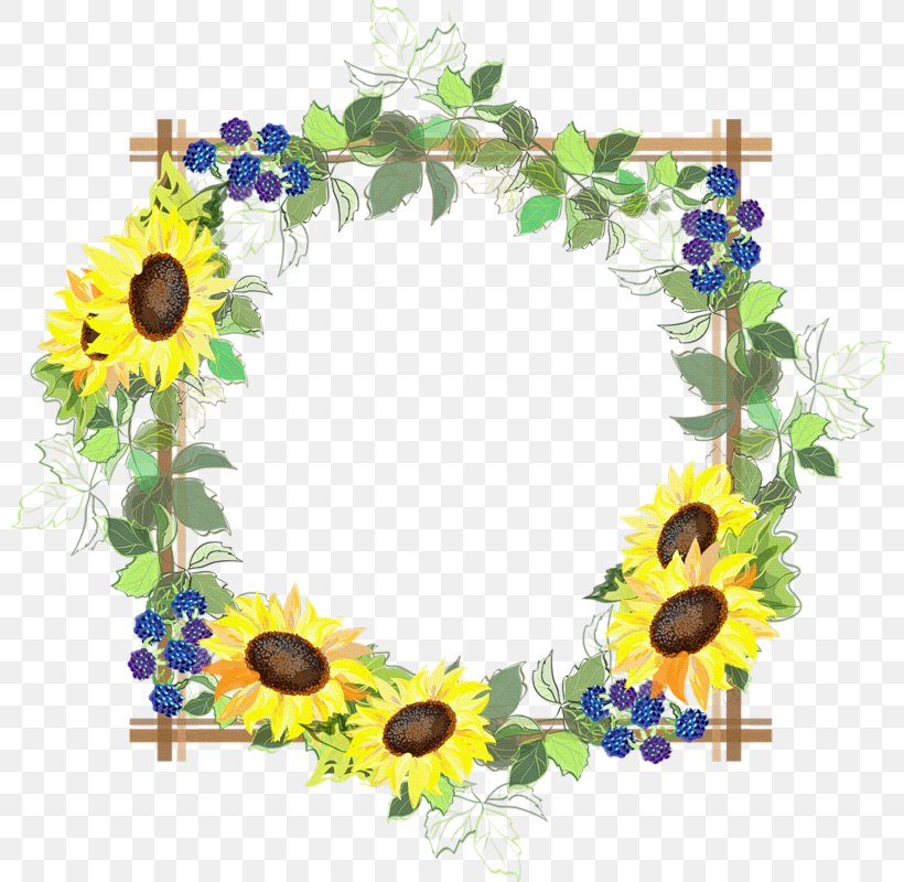 Picture Frames Paper Common Sunflower, PNG, 799x800px, Picture Frames, Common Sunflower, Cut Flowers, Decor, Decorative Arts Download Free