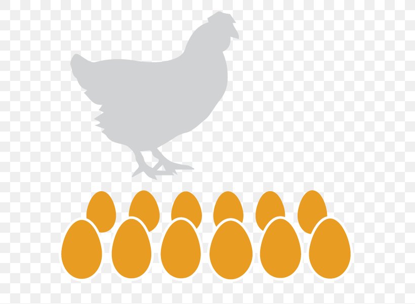 Rooster Chicken Free-range Eggs Buffalo Wing, PNG, 601x601px, Rooster, Beak, Bird, Buffalo Wing, Chicken Download Free