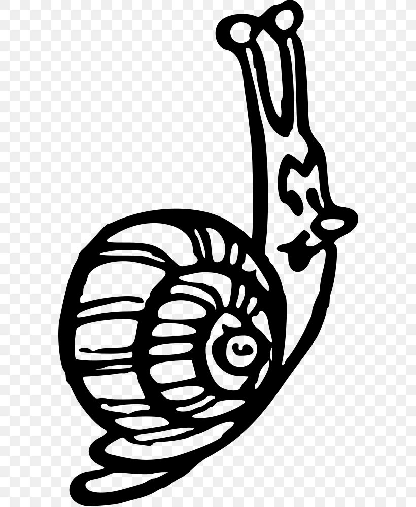 Snail Gastropod Shell Animal Clip Art, PNG, 592x1000px, Snail, Animal, Art, Artwork, Black And White Download Free