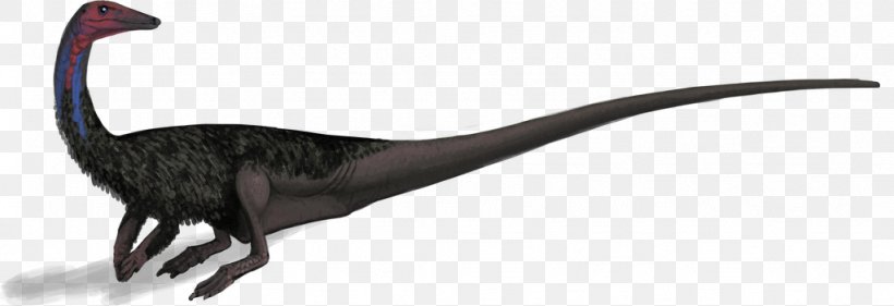 Coelophysis Bone Wars Archosaur Late Triassic, PNG, 1024x352px, Coelophysis, Anatomy, Animal, Animal Figure, Archosaur Download Free