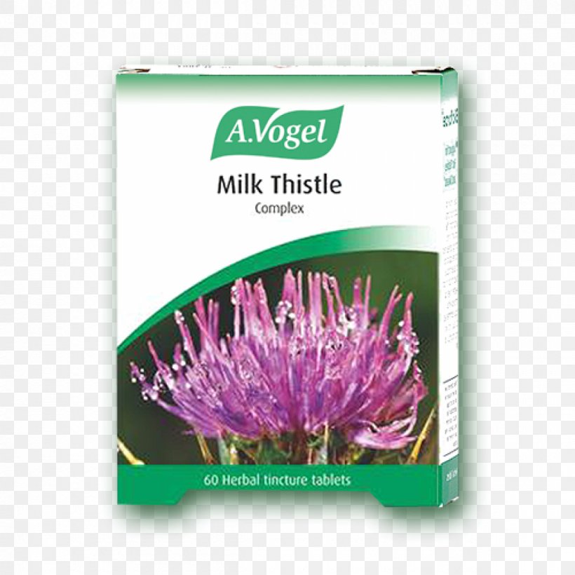 Dietary Supplement Milk Thistle Tincture Tablet, PNG, 1200x1200px, Dietary Supplement, Alfred Vogel, Artichoke, Cardoon, Chives Download Free
