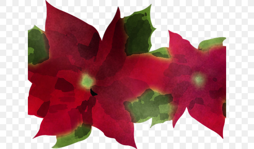 Flower Petal Plant Red Leaf, PNG, 640x480px, Flower, Leaf, Mandevilla, Petal, Pink Download Free