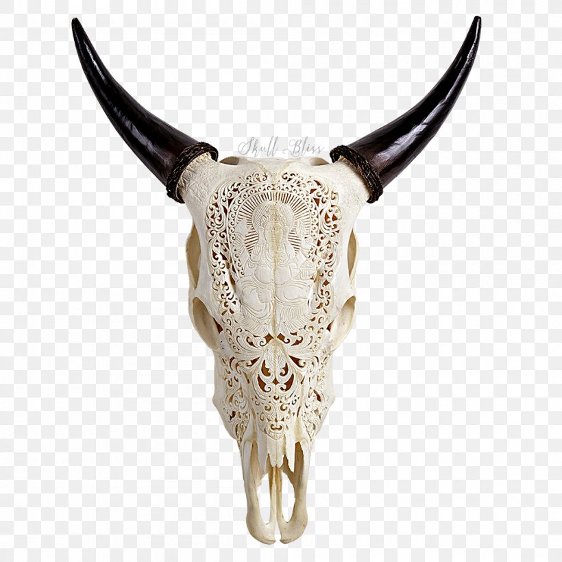 Cattle Horn Skull Bone YouTube, PNG, 1000x1000px, Cattle, Barbed Wire, Bone, Com, Cream Download Free