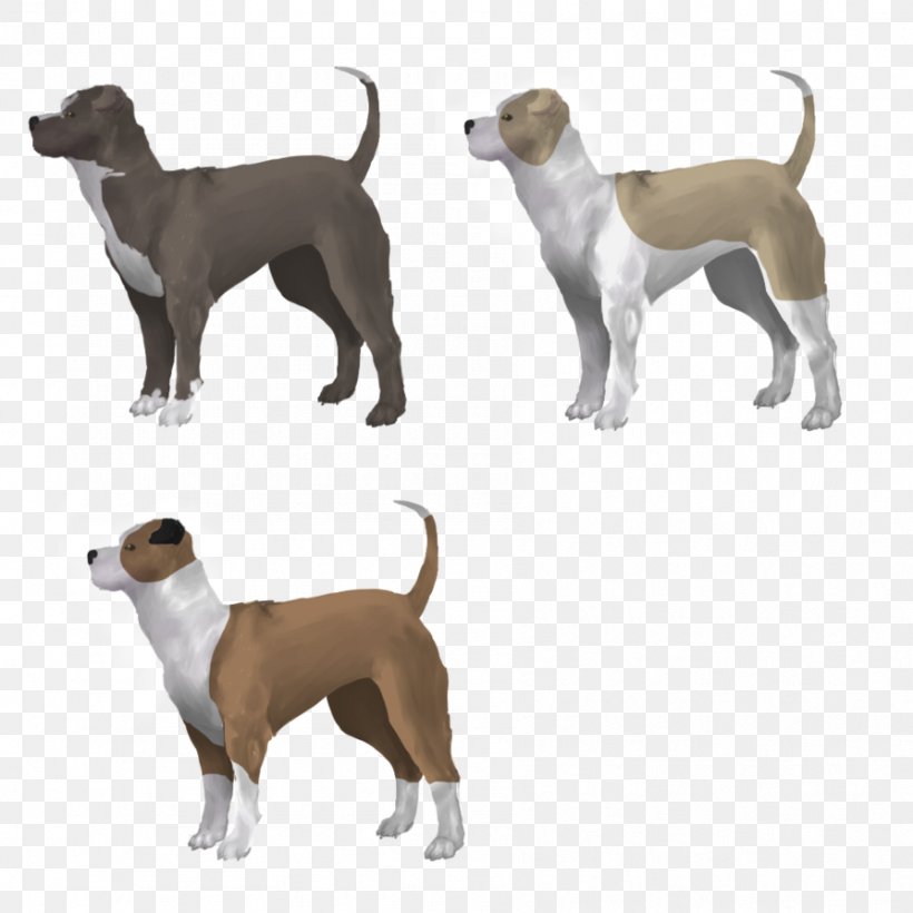 Dog Breed Italian Greyhound Crossbreed, PNG, 894x894px, Dog Breed, Breed, Carnivoran, Crossbreed, Dog Download Free