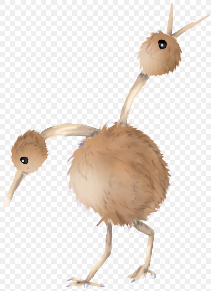 Flightless Bird Common Ostrich Chicken Ratite, PNG, 1024x1407px, Bird, Animal, Beak, Chicken, Common Ostrich Download Free