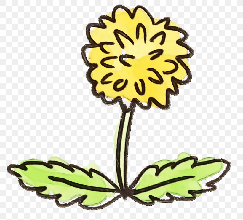 Sunflower, PNG, 800x742px, Watercolor Flower, Cut Flowers, Flower, Herbaceous Plant, Paint Download Free