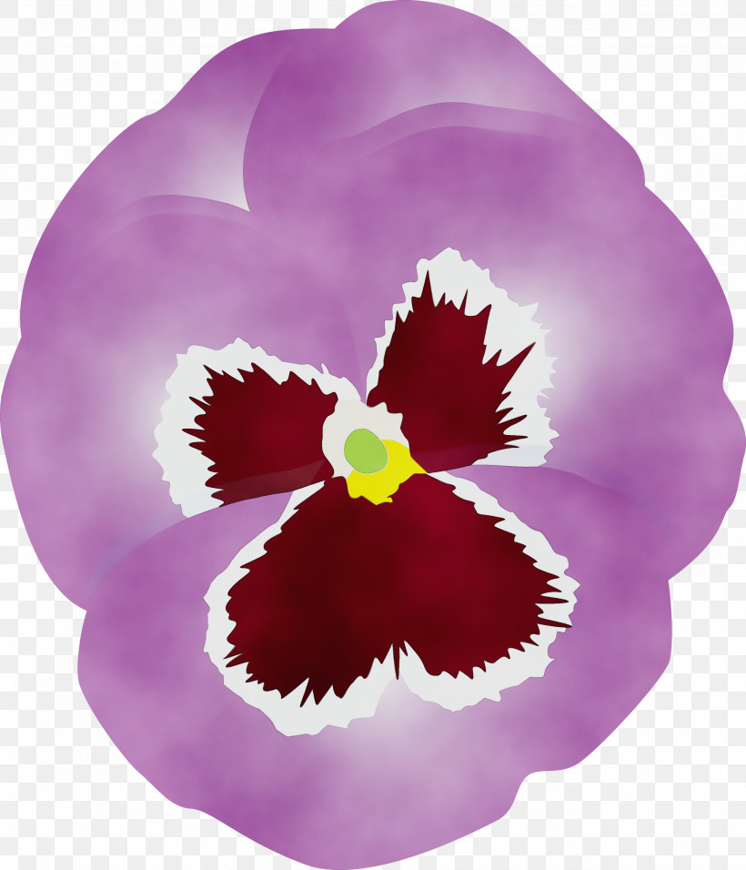 Violet Flower Petal Pansy Purple, PNG, 2571x3000px, Pansy, Cattleya, Dendrobium, Flower, Magenta Download Free