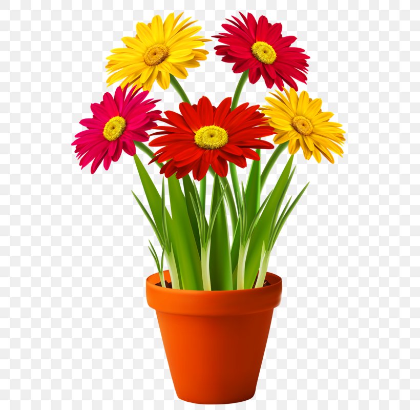 Clip Art Flowerpot Houseplant, PNG, 567x800px, Flowerpot, Annual Plant, Chrysanths, Cut Flowers, Daisy Family Download Free
