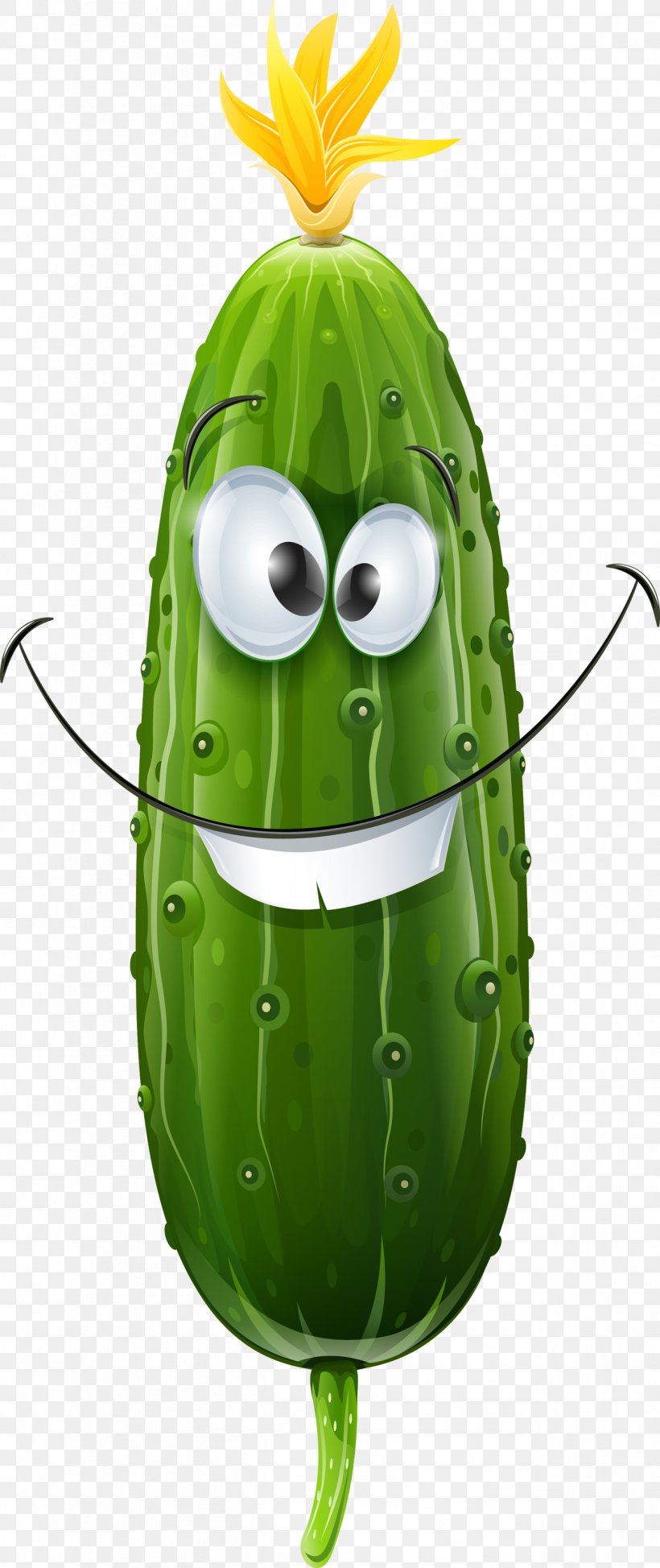 14000 Cucumber Drawing Stock Photos Pictures  RoyaltyFree Images   iStock  Cucumber illustration