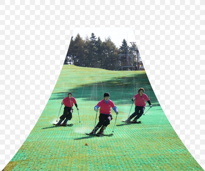 Fujiten Snow Resort Ski Resort Recreation Leisure Skiing, PNG, 980x820px, Ski Resort, Email, Email Address, Grass, Leisure Download Free