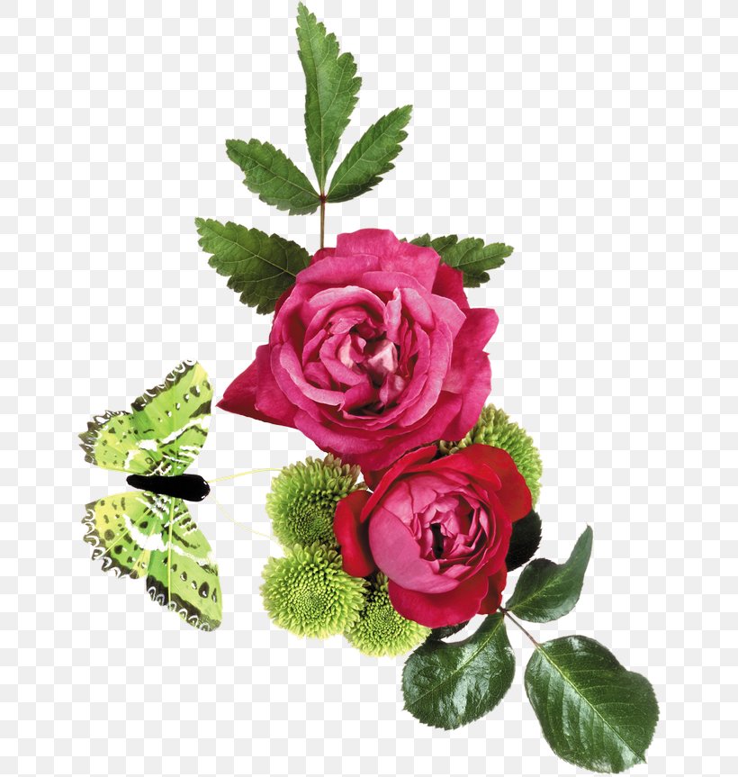 Garden Roses Flower Clip Art, PNG, 652x863px, Garden Roses, Artificial Flower, Blog, Cut Flowers, Digital Image Download Free