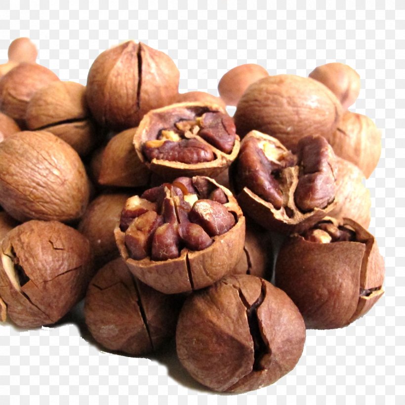 Juglans Hickory Walnut Eating Food, PNG, 1200x1200px, Juglans, Agy, Chinese Food Therapy, Eating, Fatty Acid Download Free