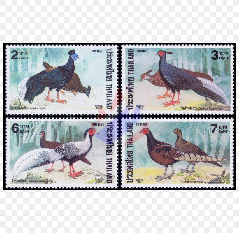 Kalij Pheasant Postage Stamps Silver Pheasant Dinosaur, PNG, 800x800px, Pheasant, Beak, Bird, Dinosaur, Fauna Download Free