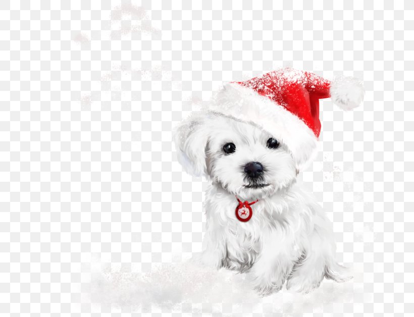 Puppy Labrador Retriever Kitten Christmas Painting, PNG, 700x628px, Puppy, Art, Bichon, Bichon Frise, Carnivoran Download Free