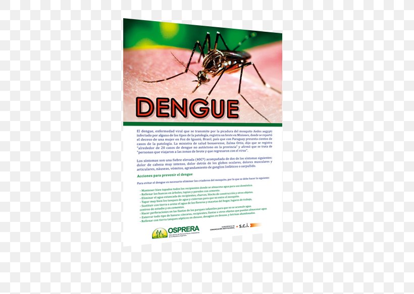 Yellow Fever Mosquito Graphic Design Insect, PNG, 613x583px, Yellow Fever Mosquito, Advertising, Aedes, Arthropod, Brand Download Free