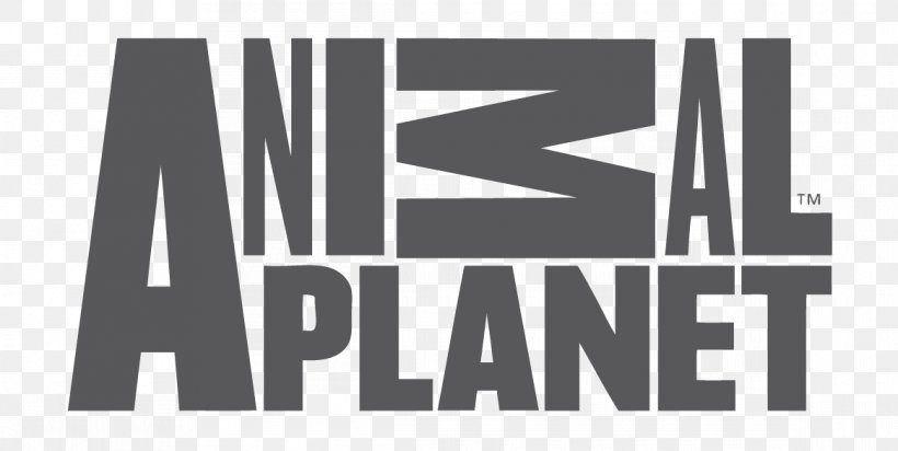 Animal Planet Television Channel Television Show Logo, PNG, 1165x586px, Animal Planet, Animal Planet Hd, Animal Planet Lve, Black, Black And White Download Free