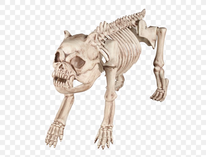 Beagle Skeleton Halloween Costume Bone, PNG, 650x628px, Beagle, Bone, Carnivoran, Costume, Dog Download Free