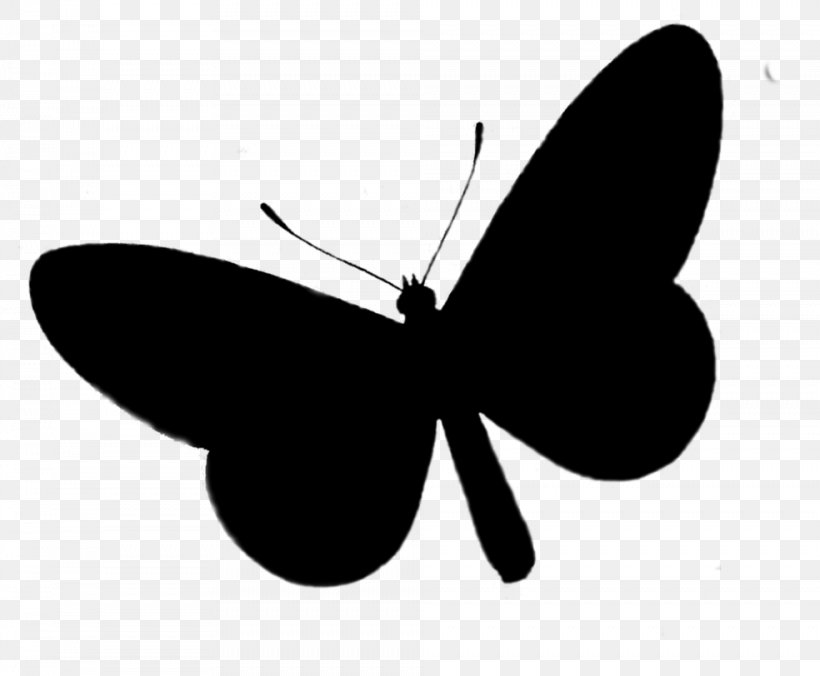 Brush-footed Butterflies Insect Clip Art Silhouette Line, PNG, 984x812px, Brushfooted Butterflies, Blackandwhite, Butterfly, Insect, Invertebrate Download Free