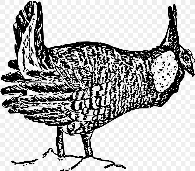 Greater Prairie Chicken Bird Drawing, PNG, 1000x880px, Chicken, Beak, Bird, Black And White, Chicken As Food Download Free