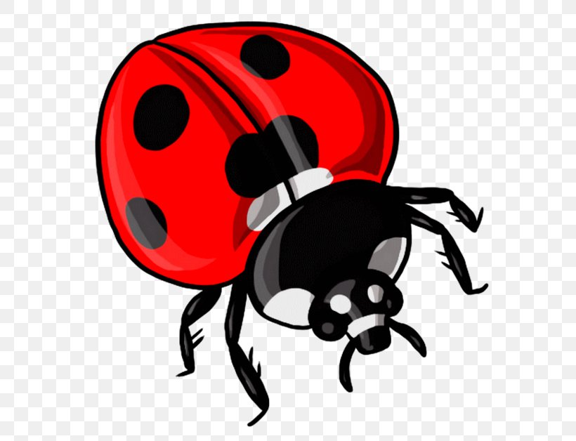 Ladybird Beetle Drawing Clip Art Word YouTube, PNG, 600x628px, Ladybird Beetle, Alphabet, Arthropod, Artwork, Beetle Download Free