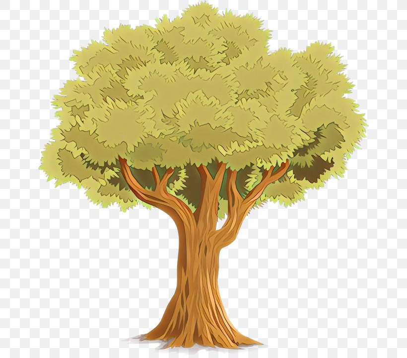 Tree Plant Woody Plant Leaf Grass, PNG, 666x720px, Cartoon, Branch, Grass, Leaf, Plant Download Free