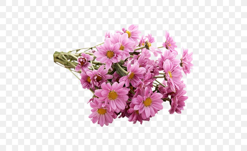 Blog Flower Clip Art, PNG, 500x500px, Blog, Annual Plant, Blossom, Cherry Blossom, Chrysanths Download Free