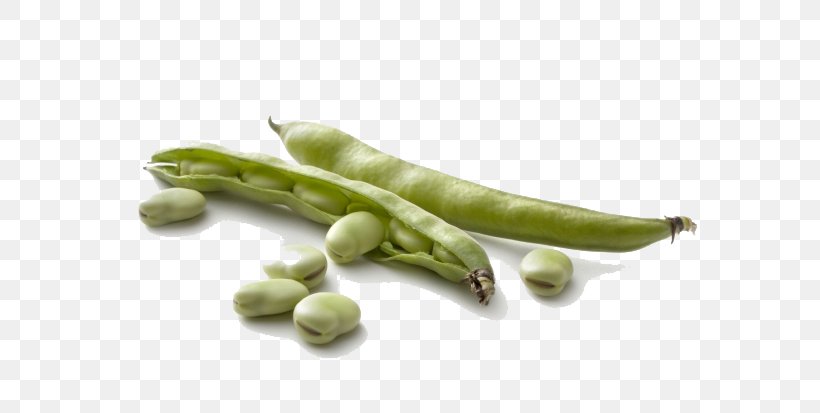 Broad Bean Pod Vegetable Seed, PNG, 620x413px, Broad Bean, Asparagus, Bean, Commodity, Common Bean Download Free