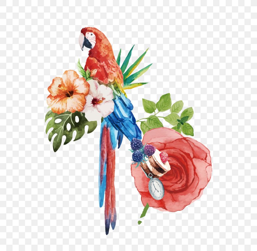 Bird Cockatoo Watercolor Painting Macaw, PNG, 800x800px, Bird, Artificial Flower, Cockatoo, Cut Flowers, Drawing Download Free