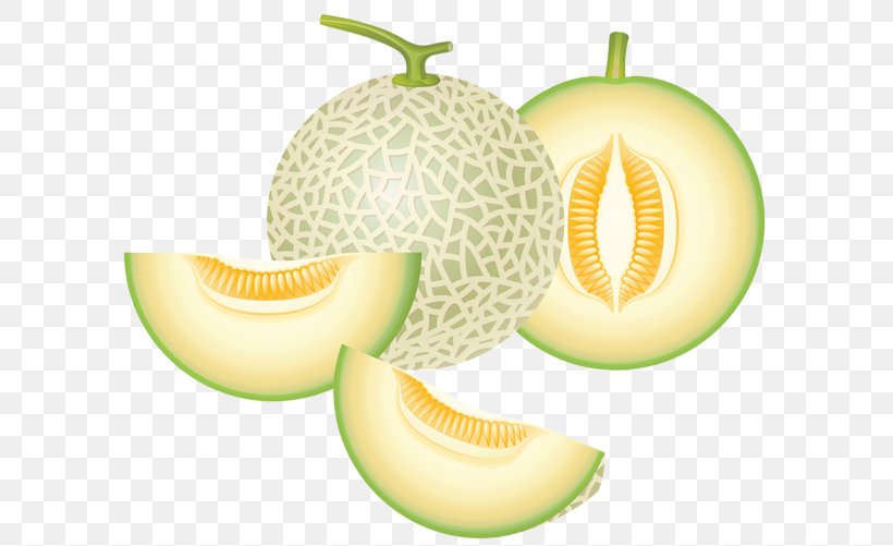 Cantaloupe Honeydew Melon Food Clip Art, PNG, 600x501px, Cantaloupe, Canary Melon, Cucumber Gourd And Melon Family, Cucumis, Food Download Free